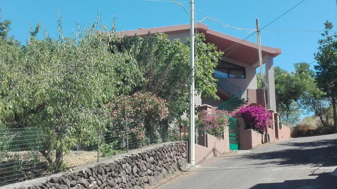 Casa Vacanze Villa Rosetta 多尔加利 外观 照片