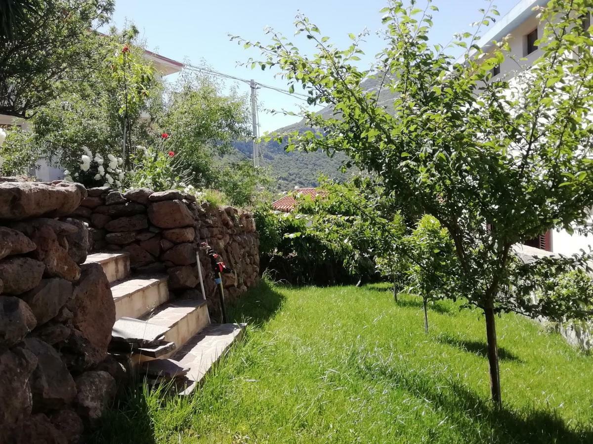Casa Vacanze Villa Rosetta 多尔加利 外观 照片